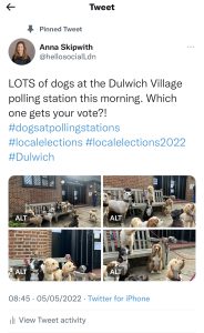 Dogs At Polling Stations tweet with four varied pictures of the same scene