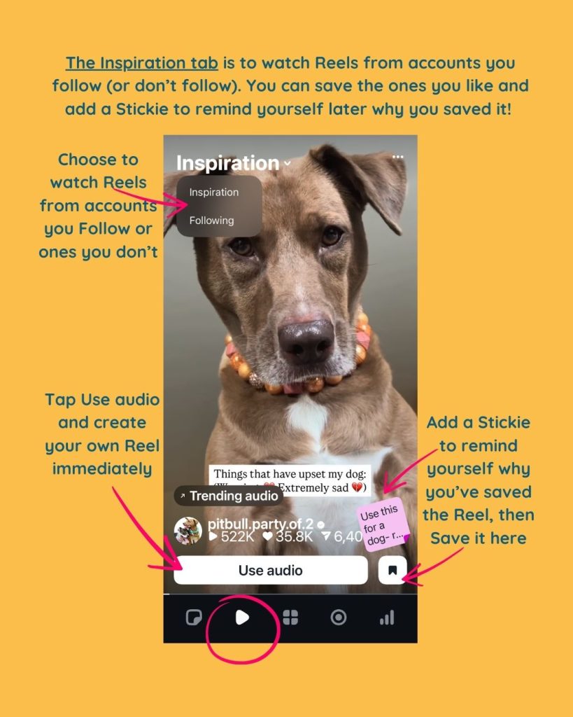 A screenshot of the Instagram Edits App Inspiration tab, with all the different features on the screen labelled.